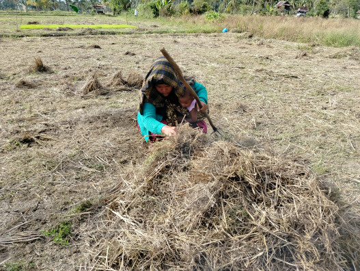 IMG20240705160522