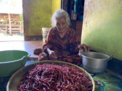 00ca6339-4b5f-479f-afac-3ec217ab99cb (1)