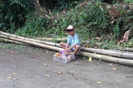 WhatsApp Image 2026-05-20 at 14.43.11